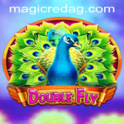 The Thrilling World of DoubleFly: A Comprehensive Guide